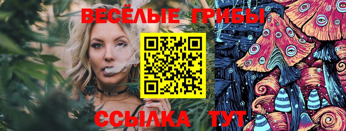 Псилоцибиновые грибы Psilocybine cubensis Старая Купавна